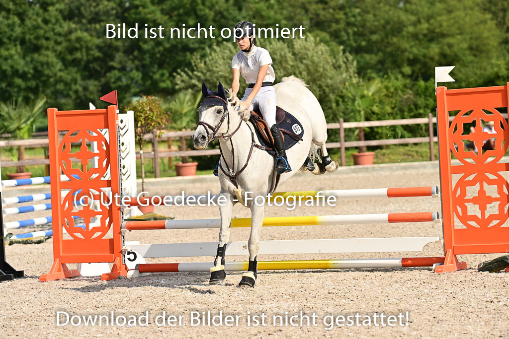 Klein Offenseth - Hengststation Hell | 26072025 A Springen _172