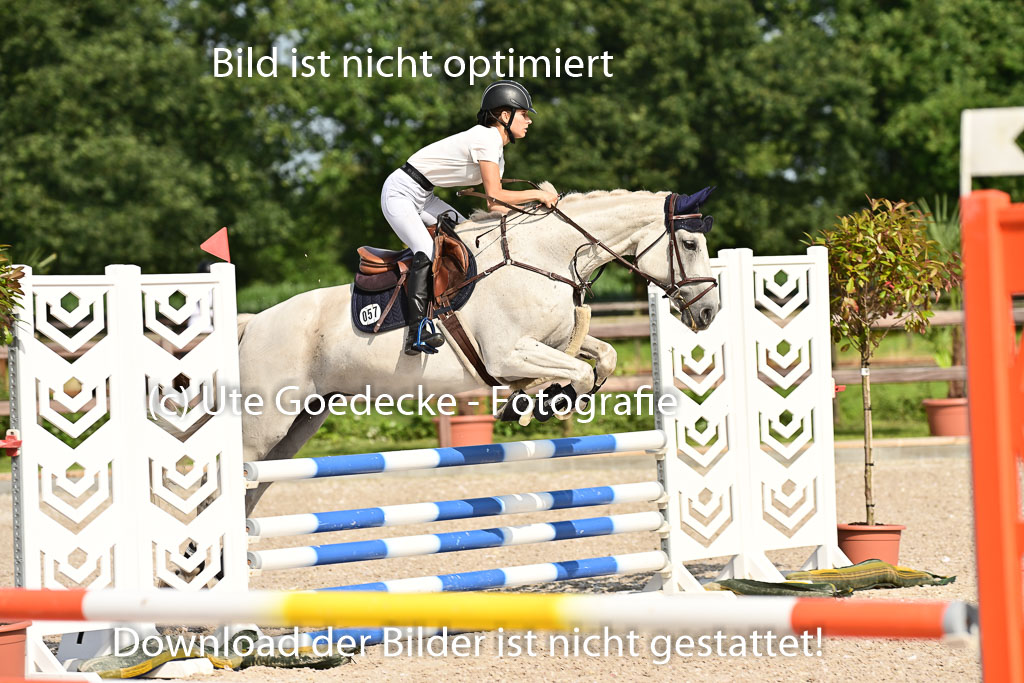 Klein Offenseth  - Hengststation Hell | 26072025 A Springen _176 