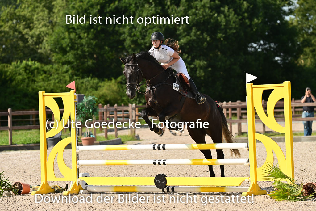 Klein Offenseth  - Hengststation Hell | 26072025 A Springen _181 