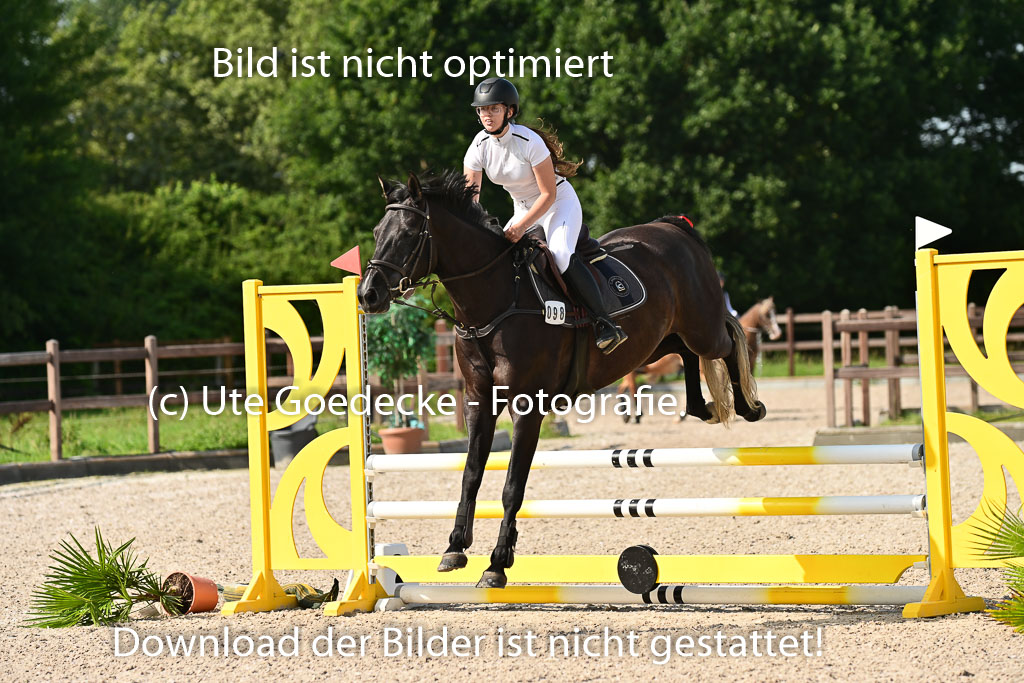 Klein Offenseth  - Hengststation Hell | 26072025 A Springen _182 