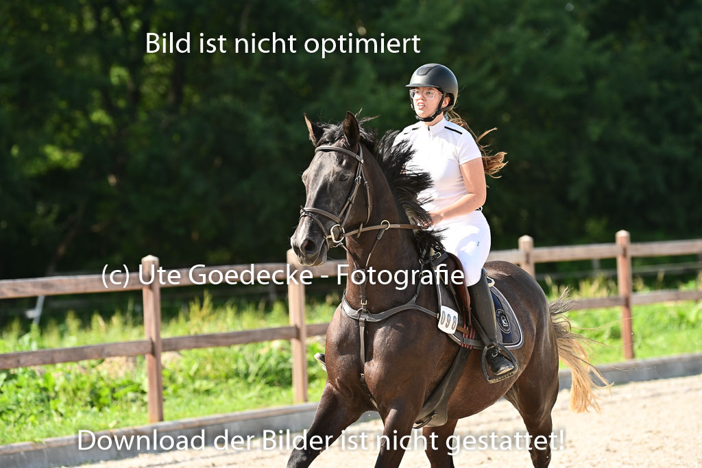 Klein Offenseth  - Hengststation Hell | 26072025 A Springen _183 