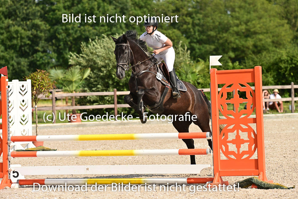 Klein Offenseth  - Hengststation Hell | 26072025 A Springen _184 