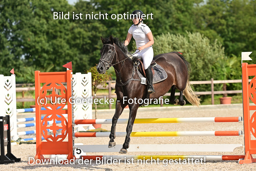 Klein Offenseth  - Hengststation Hell | 26072025 A Springen _186 