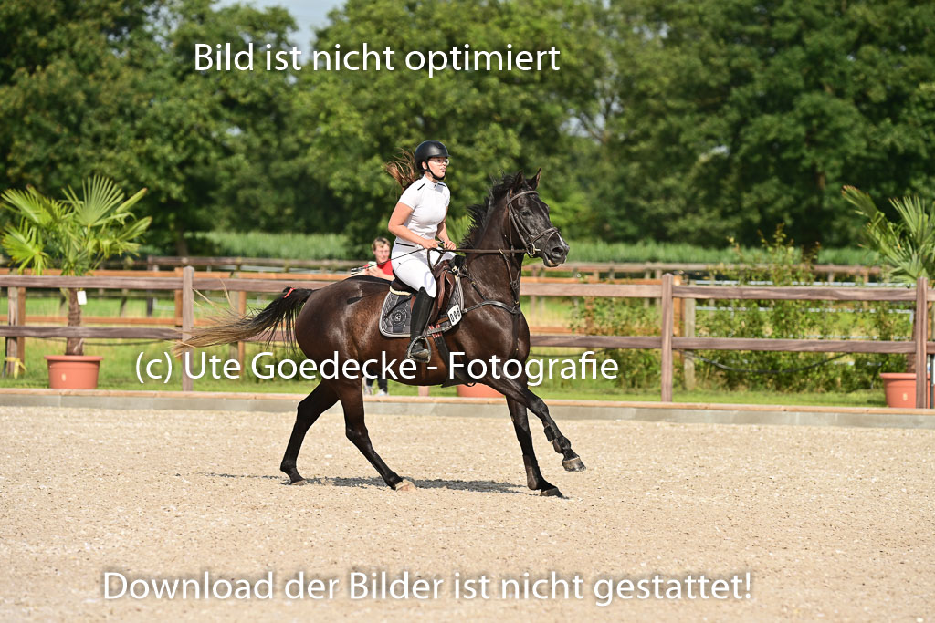 Klein Offenseth  - Hengststation Hell | 26072025 A Springen _188 