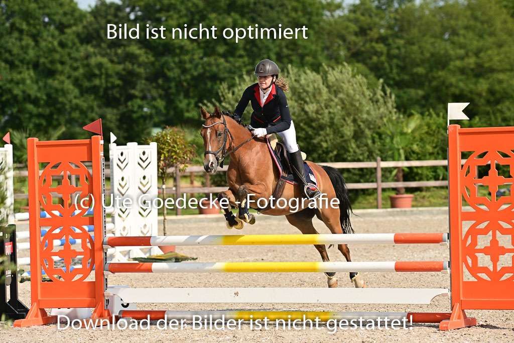 Klein Offenseth - Hengststation Hell | 26072025 A Springen _194