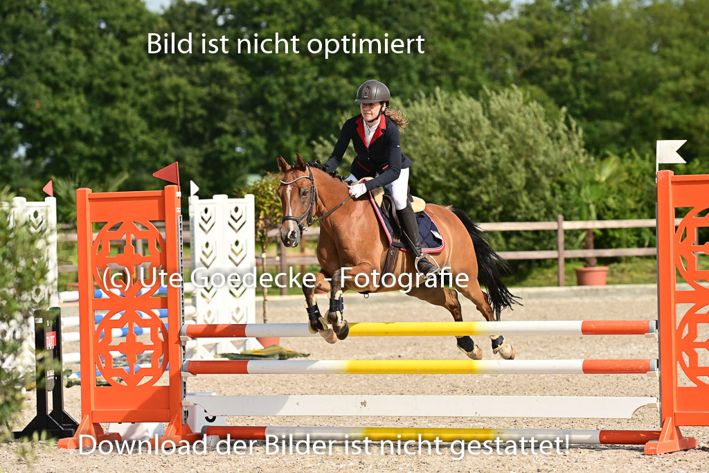 Klein Offenseth - Hengststation Hell | 26072025 A Springen _195