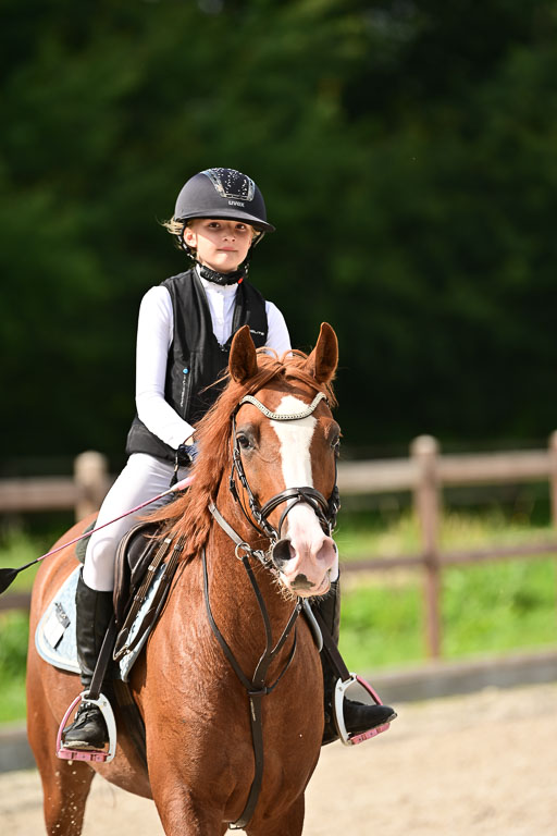 Klein Offenseth  - Hengststation Hell | 26072025 A Springen _017 