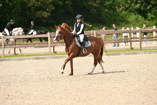 Klein Offenseth  - Hengststation Hell | 26072025 A Springen _019 