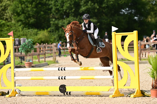 Klein Offenseth  - Hengststation Hell | 26072025 A Springen _021 