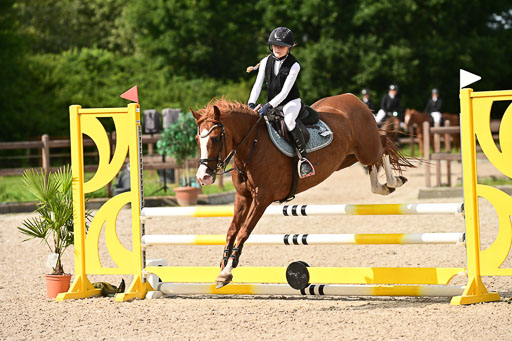 Klein Offenseth  - Hengststation Hell | 26072025 A Springen _023 