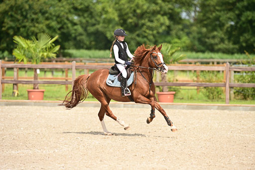 Klein Offenseth  - Hengststation Hell | 26072025 A Springen _028 