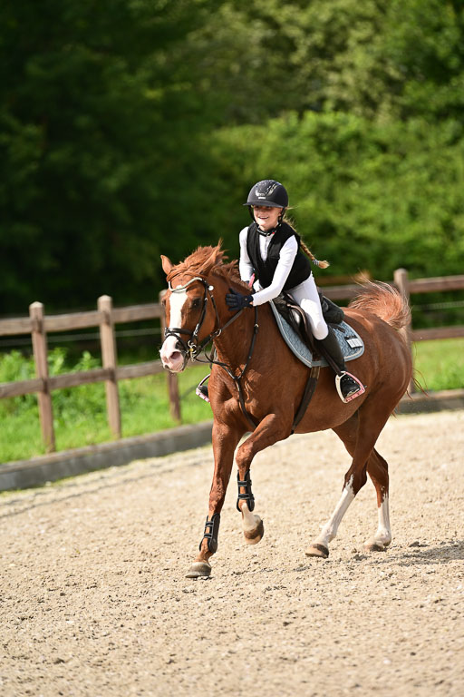 Klein Offenseth  - Hengststation Hell | 26072025 A Springen _029 