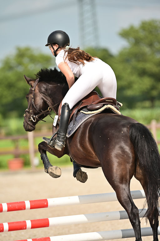 Klein Offenseth  - Hengststation Hell | 26072025 A Springen _033 