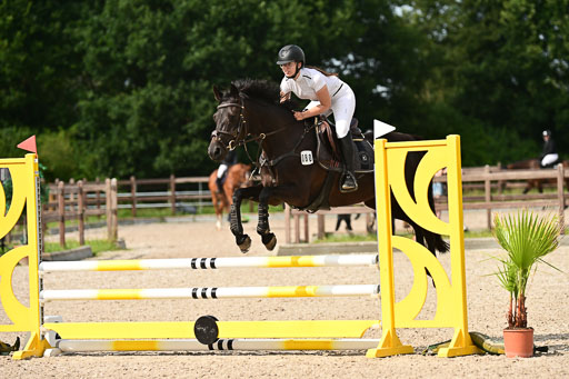 Klein Offenseth  - Hengststation Hell | 26072025 A Springen _034 