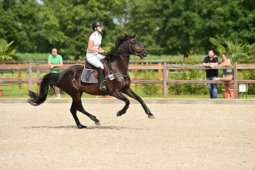 Klein Offenseth  - Hengststation Hell | 26072025 A Springen _038 