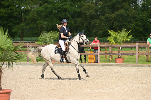 Klein Offenseth  - Hengststation Hell | 26072025 A Springen _048 