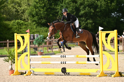 Klein Offenseth  - Hengststation Hell | 26072025 A Springen _053 