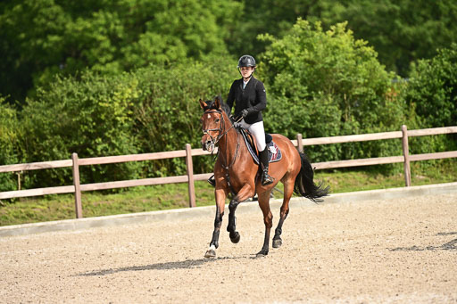 Klein Offenseth  - Hengststation Hell | 26072025 A Springen _055 