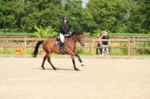 Klein Offenseth  - Hengststation Hell | 26072025 A Springen _060 