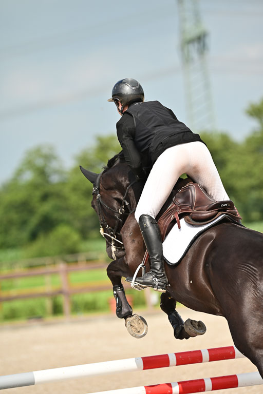 Klein Offenseth  - Hengststation Hell | 26072025 A Springen _064 