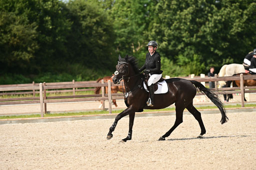 Klein Offenseth  - Hengststation Hell | 26072025 A Springen _065 