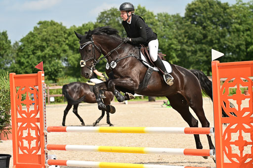 Klein Offenseth  - Hengststation Hell | 26072025 A Springen _071 