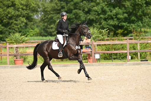 Klein Offenseth  - Hengststation Hell | 26072025 A Springen _072 