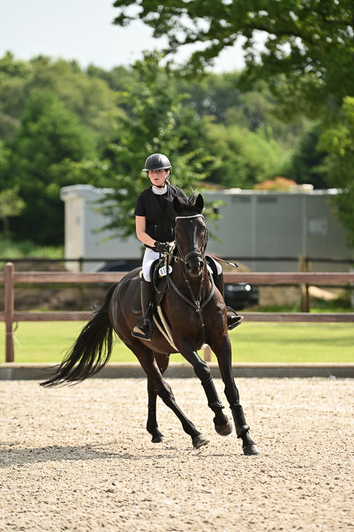 Klein Offenseth  - Hengststation Hell | 26072025 A Springen _077 