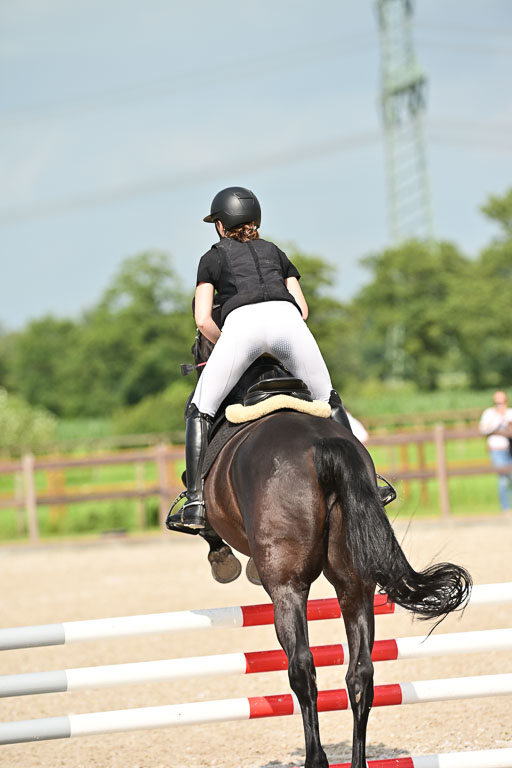 Klein Offenseth  - Hengststation Hell | 26072025 A Springen _079 