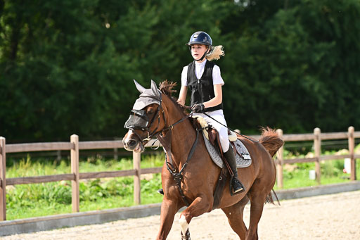 Klein Offenseth  - Hengststation Hell | 26072025 A Springen _115 