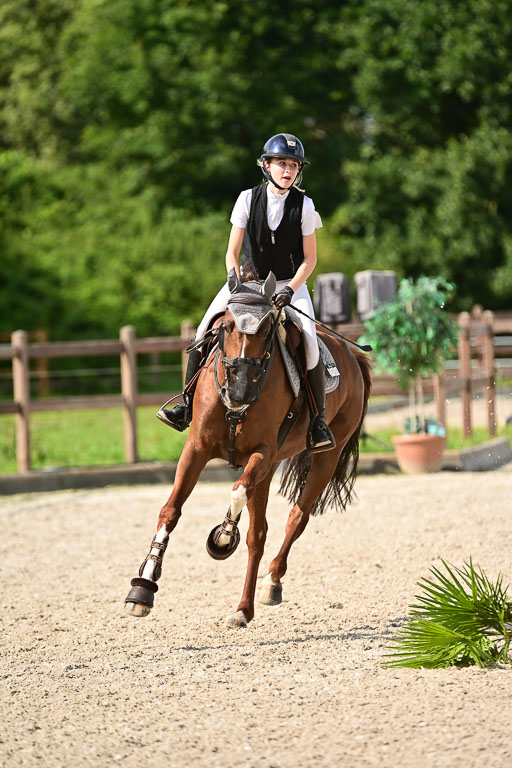 Klein Offenseth  - Hengststation Hell | 26072025 A Springen _118 