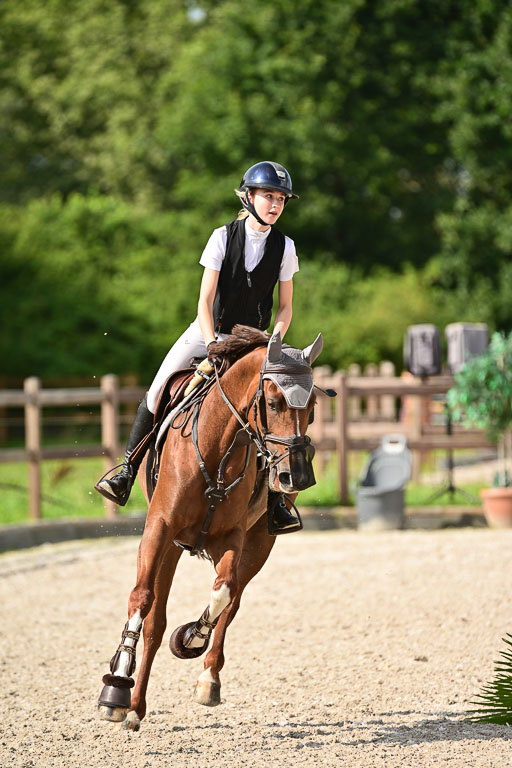 Klein Offenseth  - Hengststation Hell | 26072025 A Springen _119 