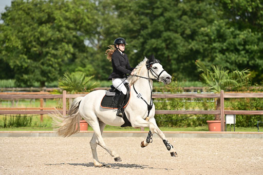 Klein Offenseth  - Hengststation Hell | 26072025 A Springen _126 