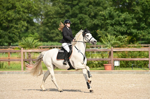 Klein Offenseth  - Hengststation Hell | 26072025 A Springen _127 