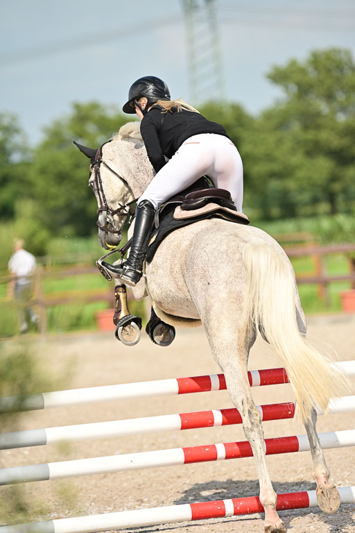 Klein Offenseth  - Hengststation Hell | 26072025 A Springen _131 