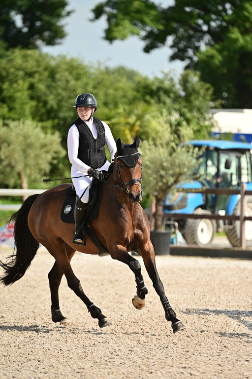 Klein Offenseth  - Hengststation Hell | 26072025 A Springen _140 