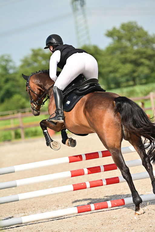 Klein Offenseth  - Hengststation Hell | 26072025 A Springen _141 