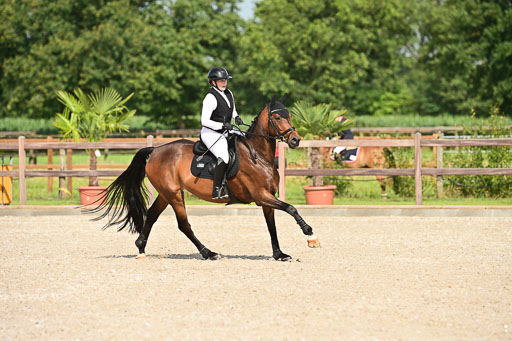 Klein Offenseth  - Hengststation Hell | 26072025 A Springen _146 