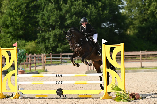 Klein Offenseth  - Hengststation Hell | 26072025 A Springen _152 