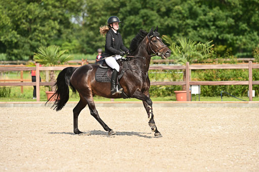 Klein Offenseth  - Hengststation Hell | 26072025 A Springen _158 