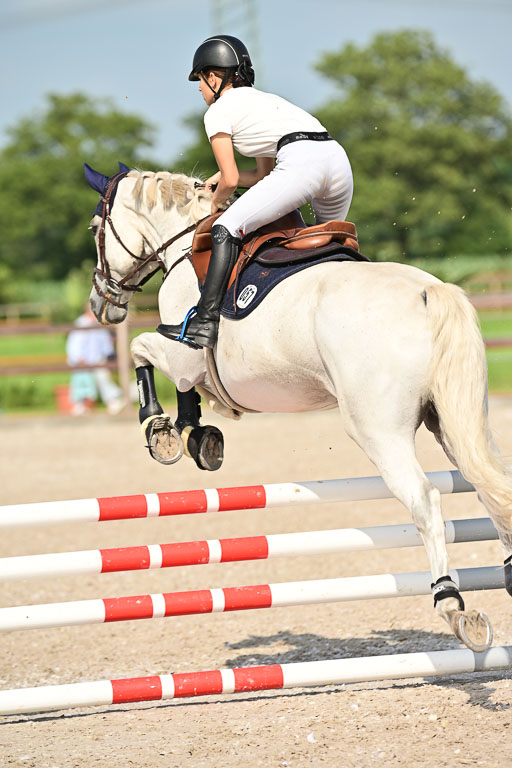 Klein Offenseth  - Hengststation Hell | 26072025 A Springen _164 