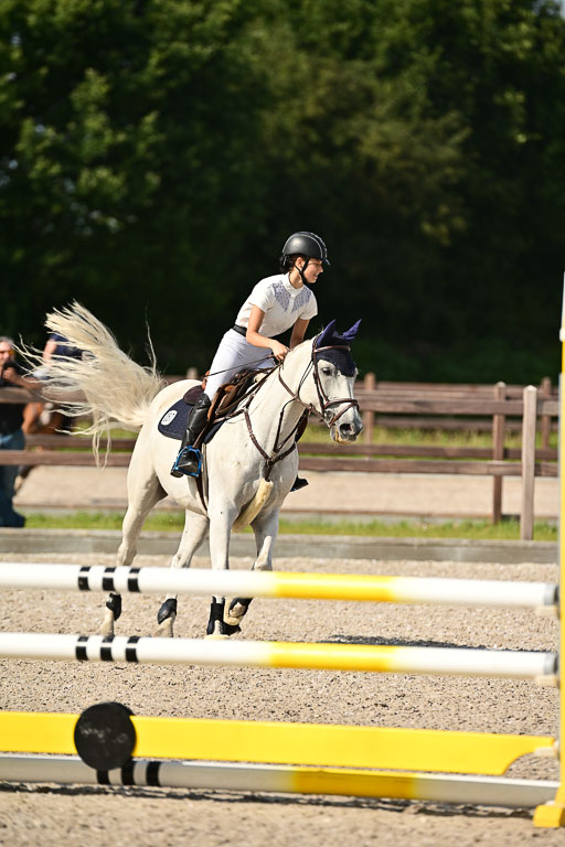 Klein Offenseth  - Hengststation Hell | 26072025 A Springen _177 