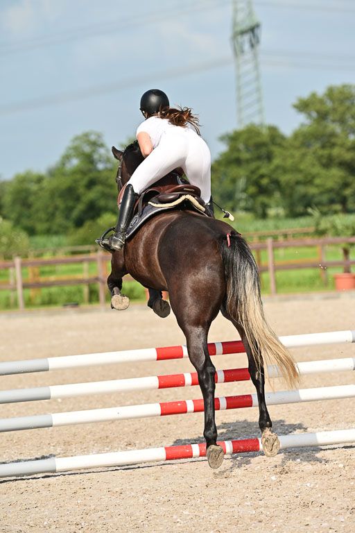 Klein Offenseth  - Hengststation Hell | 26072025 A Springen _180 