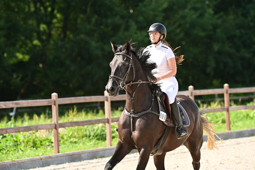 Klein Offenseth  - Hengststation Hell | 26072025 A Springen _183 