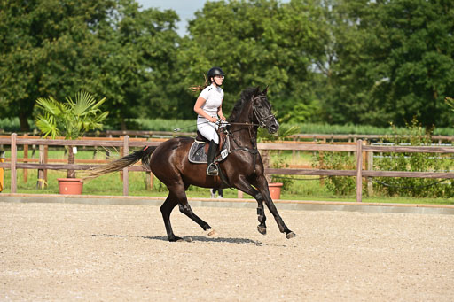 Klein Offenseth  - Hengststation Hell | 26072025 A Springen _187 