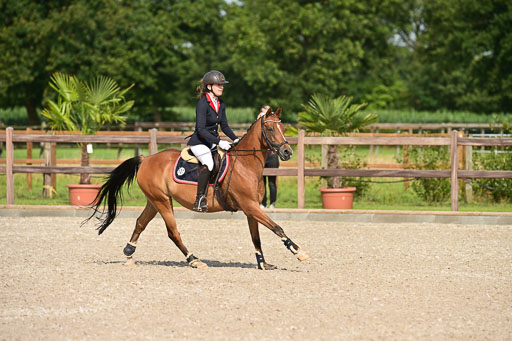 Klein Offenseth  - Hengststation Hell | 26072025 A Springen _197 