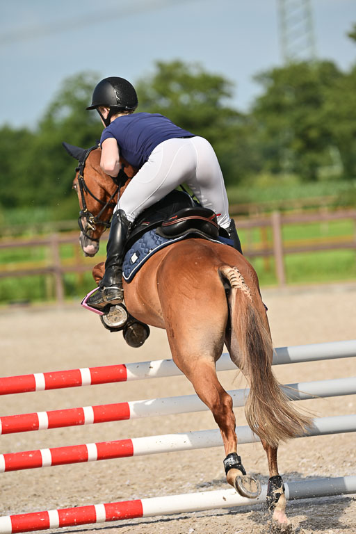 Klein Offenseth  - Hengststation Hell | 26072025 A Springen _199 