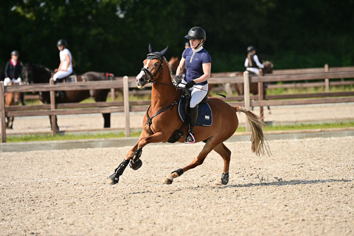 Klein Offenseth  - Hengststation Hell | 26072025 A Springen _200 