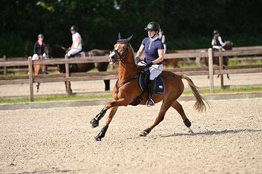 Klein Offenseth  - Hengststation Hell | 26072025 A Springen _201 
