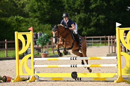 Klein Offenseth  - Hengststation Hell | 26072025 A Springen _203 